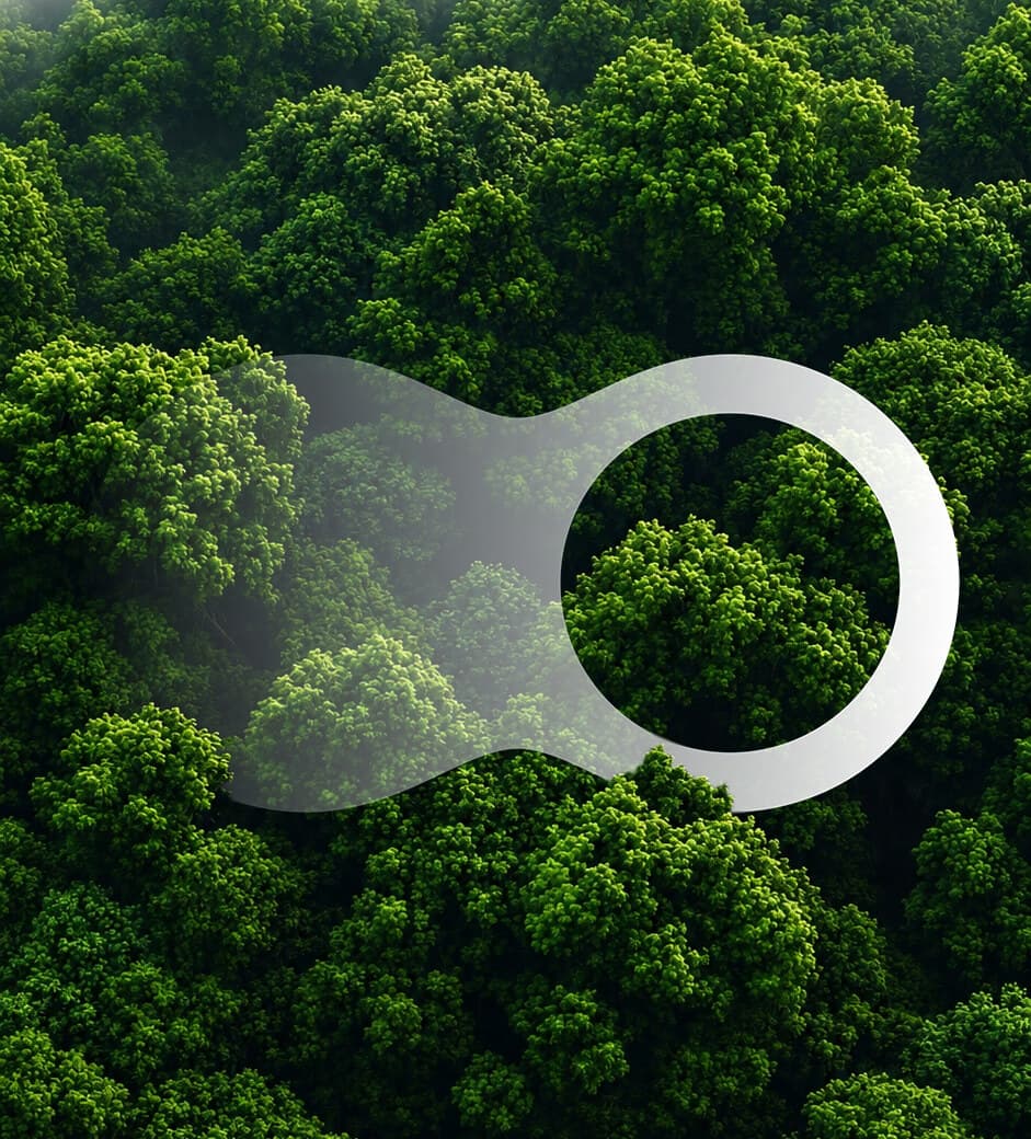 Vista aérea de uma floresta com o símbolo da Tyr